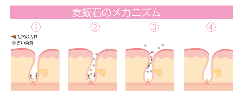 麦飯石のメカニズム