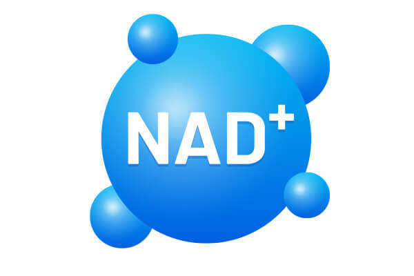 NAD=「ナイアシンアミド」を配合